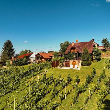 Holiday Home Wine & Relax Sveti Martin Na Muri Gornji Koncovcak Exteriér fotografie