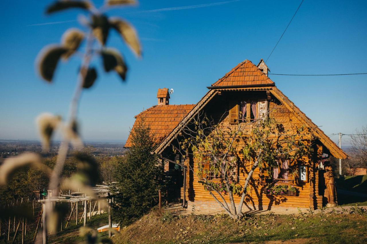 Holiday Home Wine & Relax Sveti Martin Na Muri Gornji Koncovcak Exteriér fotografie