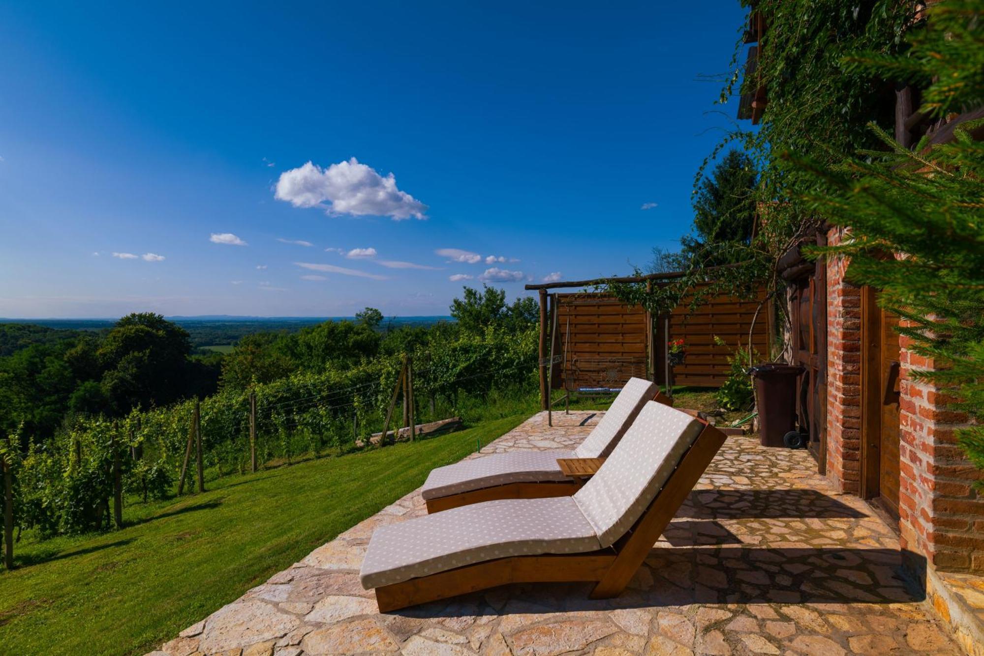 Holiday Home Wine & Relax Sveti Martin Na Muri Gornji Koncovcak Exteriér fotografie